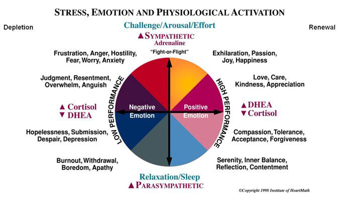 Biofeedback. emotion, stress and psychiological activation